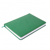 Ежедневник недатированный Campbell, А5,  зеленый, белый блок